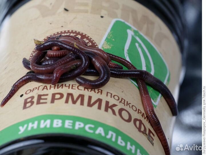 Удобрения - житкий биогумус