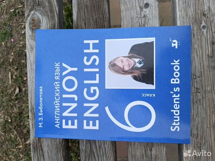 Учебник по английскому 6 класс Биболетова