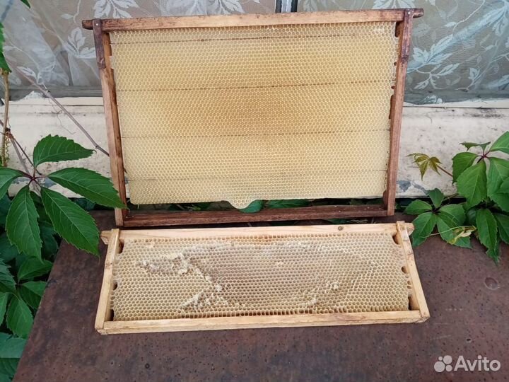 Ульи для пчел