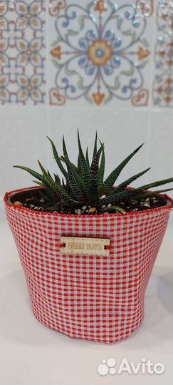 Набор для хорошего настроения)