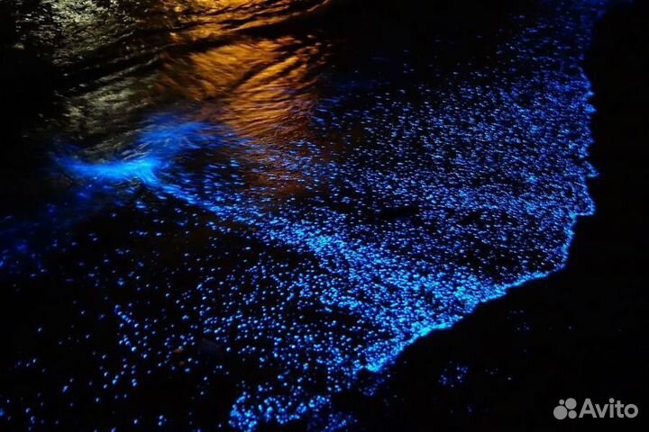 Экскурсионный автобусный тур в Азовское море 28.08