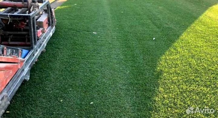 Газон. Рулонный газон