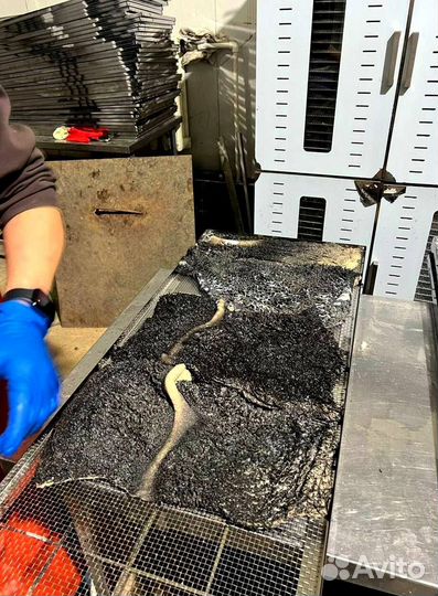 Говяжье легкое сушеное 5 кг (арт03Бал)