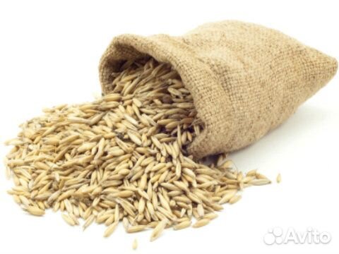 Овес в мешках по 30кг