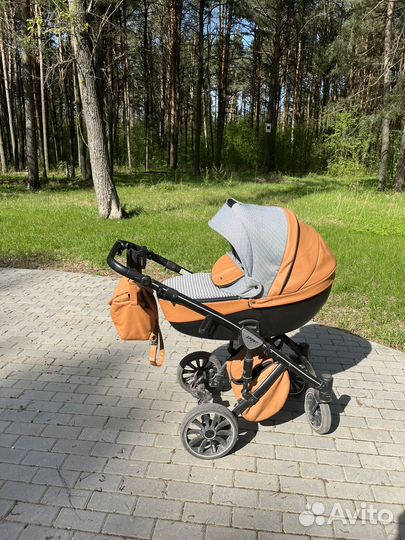 Коляска anex sport 2 в 1