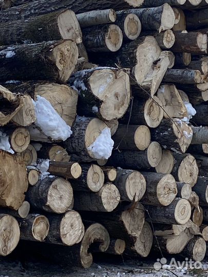 Осина,липа лес кругляк