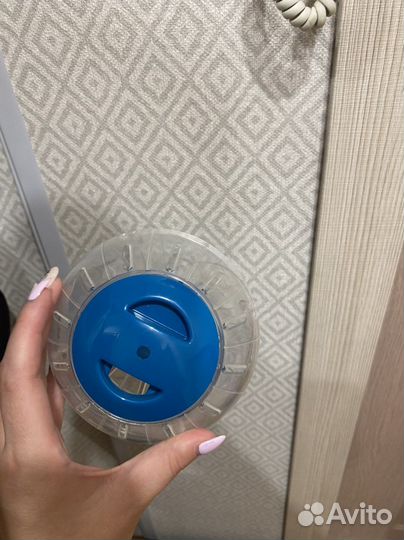 Шар для грызунов