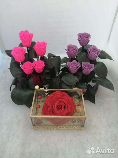 Роза в колбе