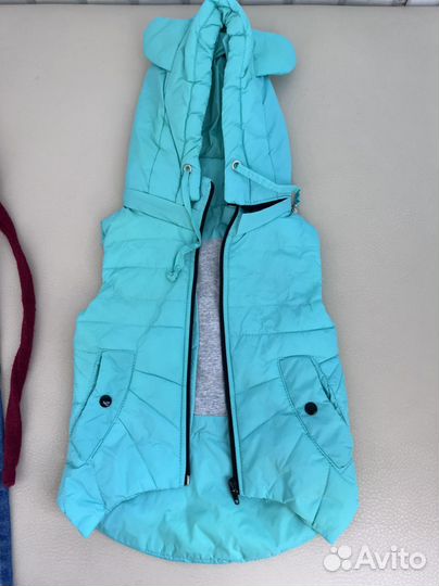 Джинсы жилет шапка для девочки 74 80 размер