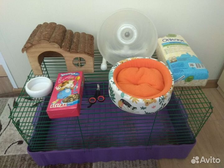 Домик, корм для морских свинок, колесо, опилки