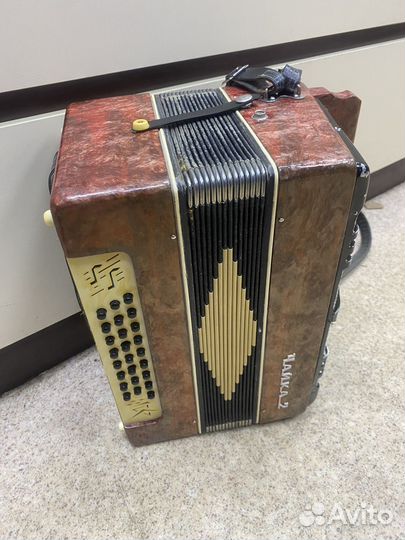 Гармонь чайка 2