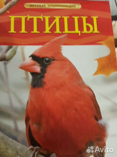 Книги из серии 