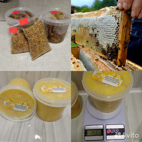 Продукция пчеловодства