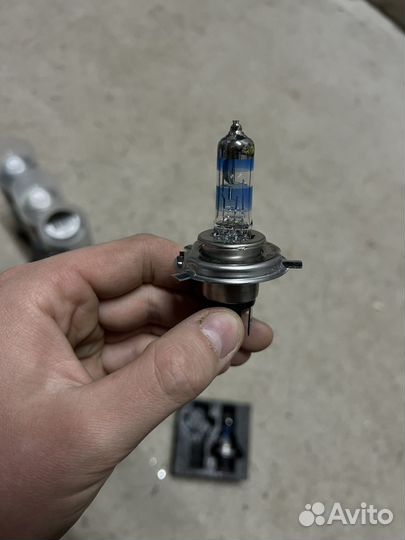 Лампочки h4 philips