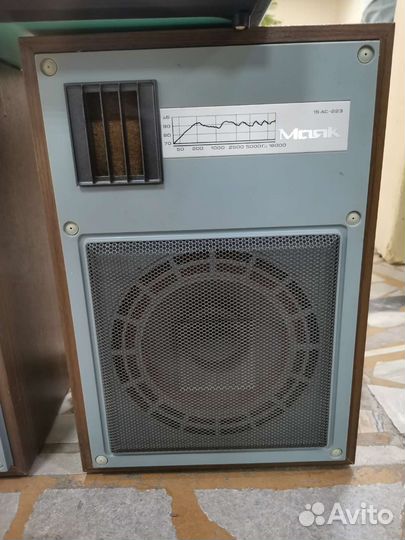 Акустическая система Маяк 15ас-223 и Маяк М-2400-1