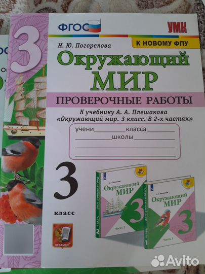 Окружающий мир 3 класс плешаков