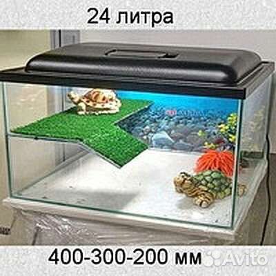 Черепашник