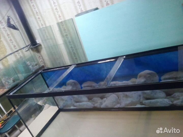 Аквариумы от производителя