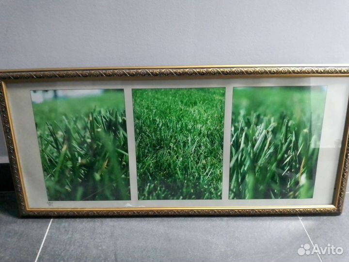 Фотографии в багетной раме