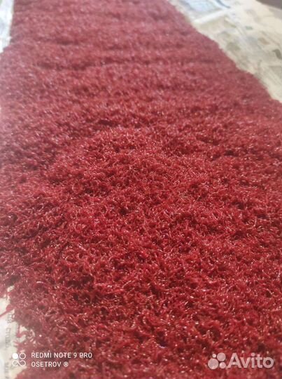 Мотыль кормовой