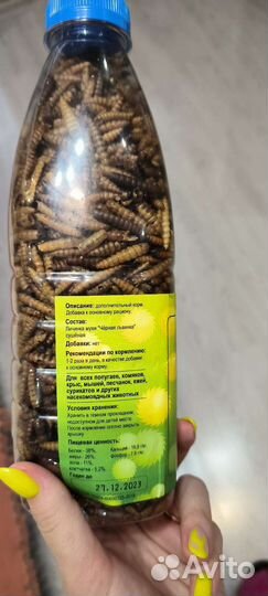 Черная львинка