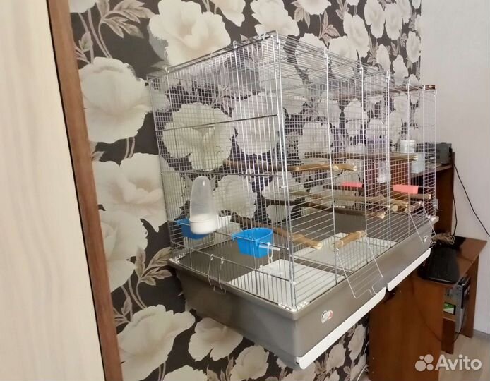 Клетка большая iMac Tasha