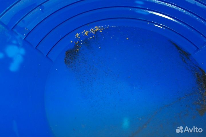 Старательский лоток для золота Proline PPP14 (США)