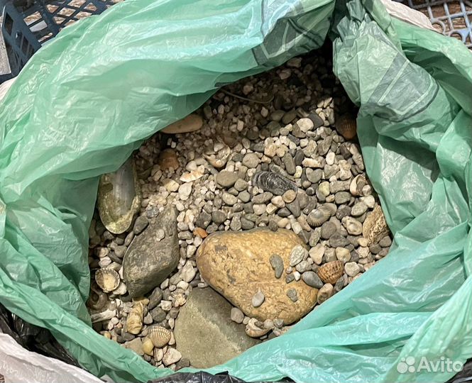 Камушки и ракушки для аквариума