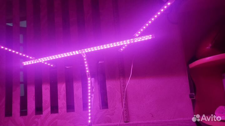 Фитолампа для растений