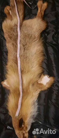 Шкуры лисы