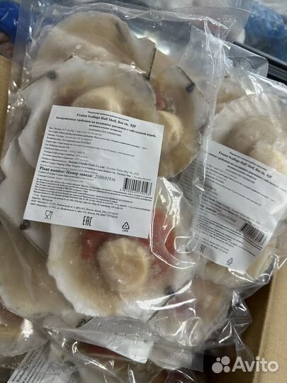 Гребешок на створке Крупный