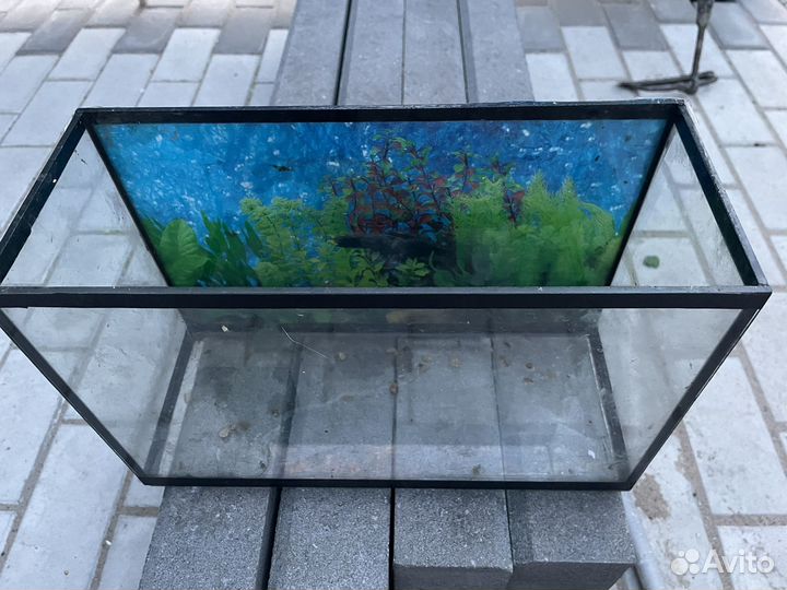 Аквариум
