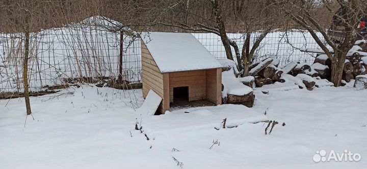 Будка для собаки