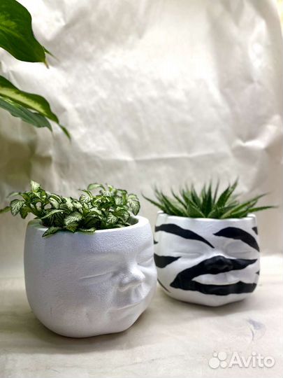 Кашпо ручной работы для растений