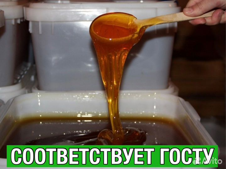 Мёд оптом во все регионы РФ