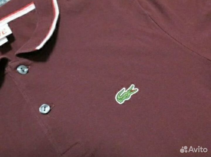 Поло Lacoste