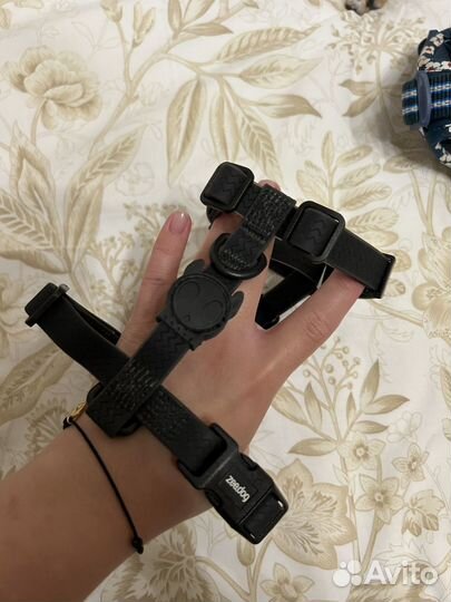 Шлейки для собак