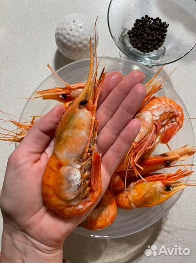 Креветки гребенчатые Ботан. Дальний Восток