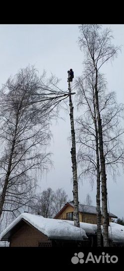 Спил деревьев, расчистка участков