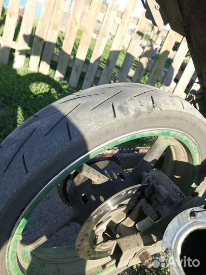 Рейсер нитро 250