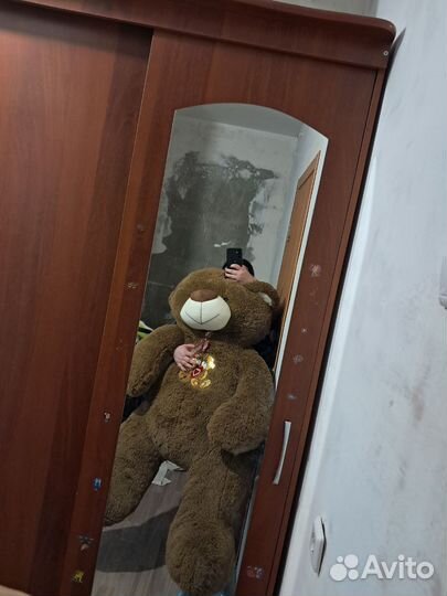 Большие плюшевые медведи