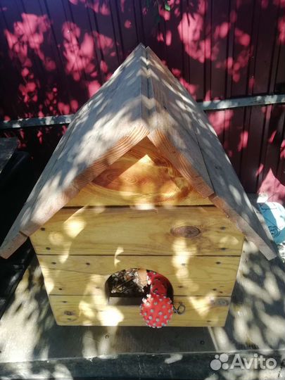 Собачья будка