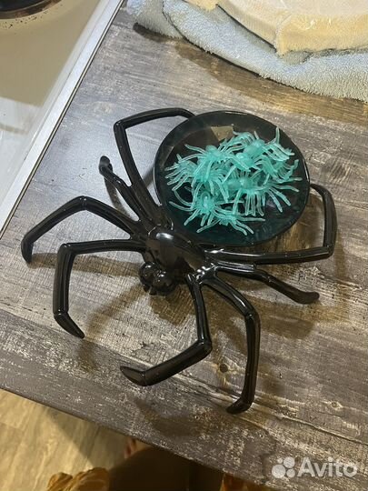 Паук (тарелка)