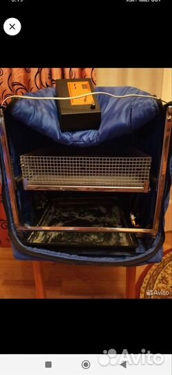 Инкубатор для яиц автоматический бу