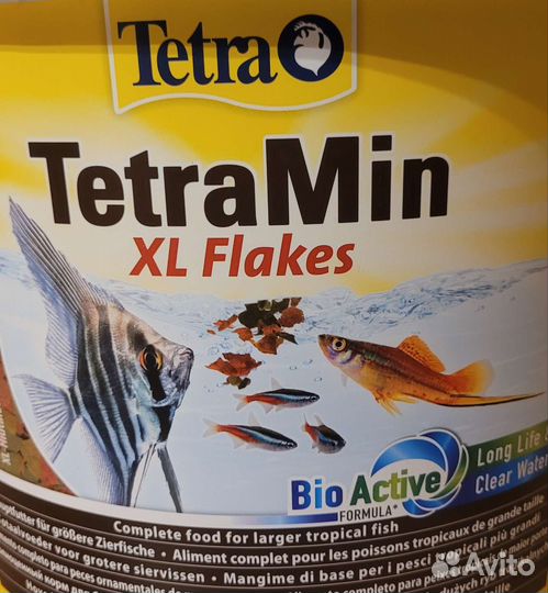 Аквариумные креветки