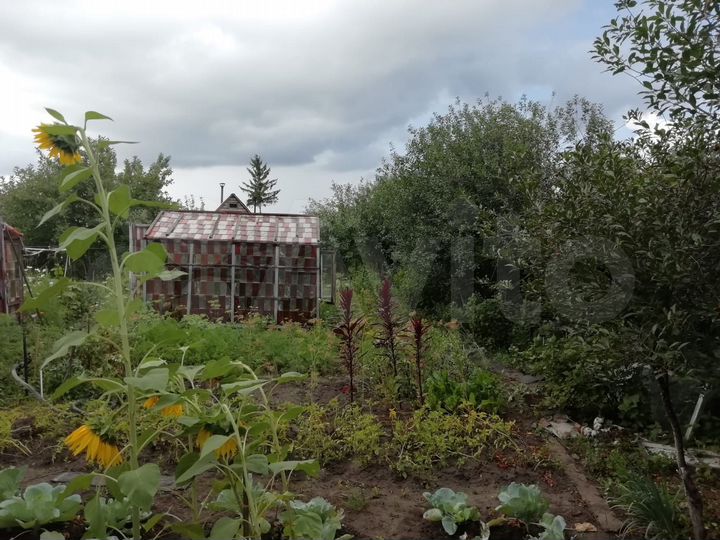 Дача 29 м² на участке 6,8 сот.