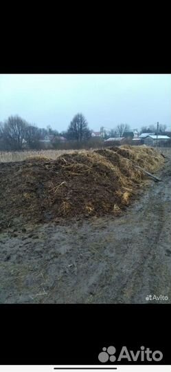 Коровий навоз и конский навоз