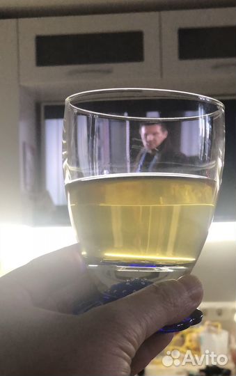 Винный гриб. Индийский морской рис. Чайный гриб