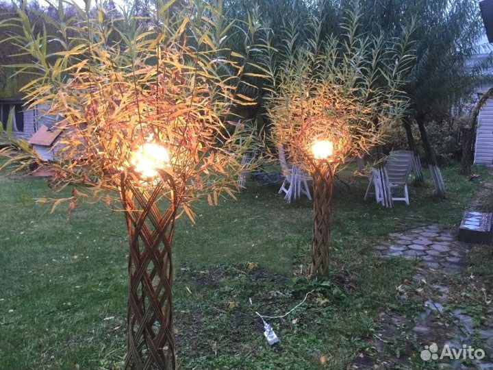 Русская пальма для сада