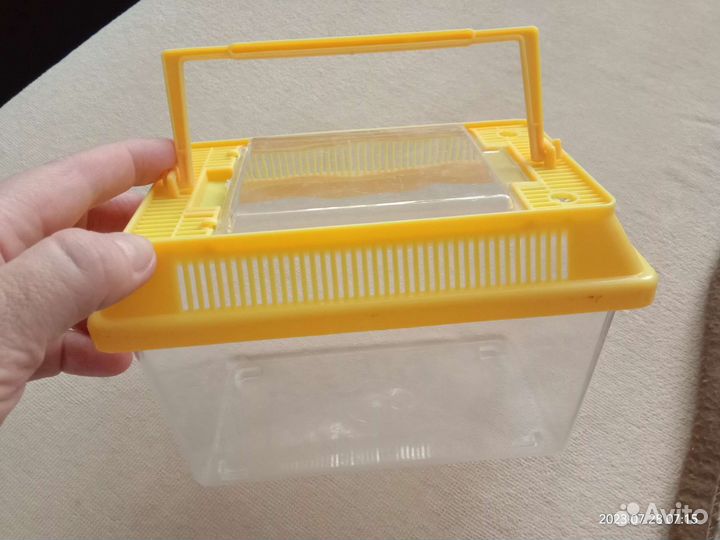 Черепашник-мини